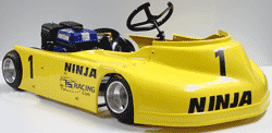 Ninja oval kart package