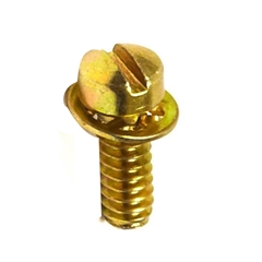 #435 Diaphragm Cover Screw