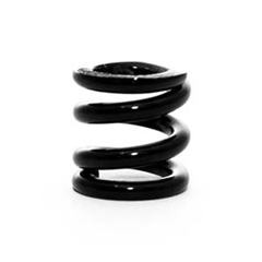 #22 Spring - Black - .085" diameter