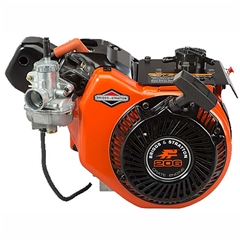 Briggs and Stratton Local Option LO 206 Engine