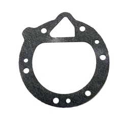 Gasket for Fuel Pumper - Tillotson