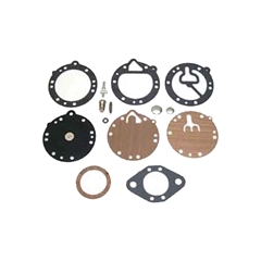 Rebuild Kit w/Needle (gas) - Tillotson