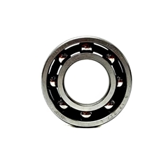 #31  IAME Leopard Main Bearing - 02/08 and MY09