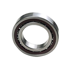 #131 Bearing - Balance Case 6005