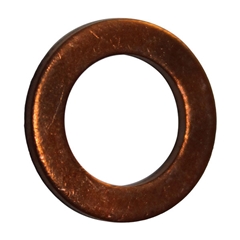 Gasket - Water Plug