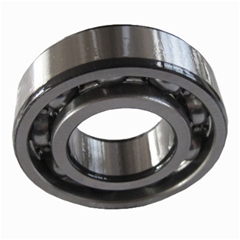 #120 Bearing Counter Balance Shaft