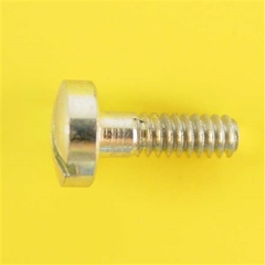 #R1 Screw for Fuel Cap