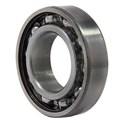 Main Bearing 6204 Plastic