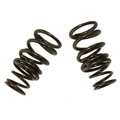 Dual Valve Springs .450 - .500