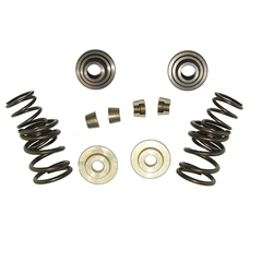 Briggs Animal Dual Valve Spring Kit