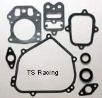 Briggs Animal Gasket Set for Block